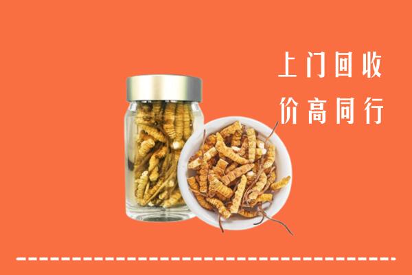 乌鲁木齐县回收冬虫夏草